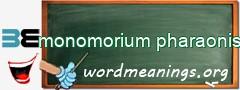 WordMeaning blackboard for monomorium pharaonis